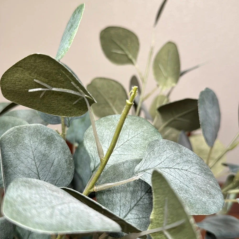 Faux Silver Dollar Eucalyptus Stems